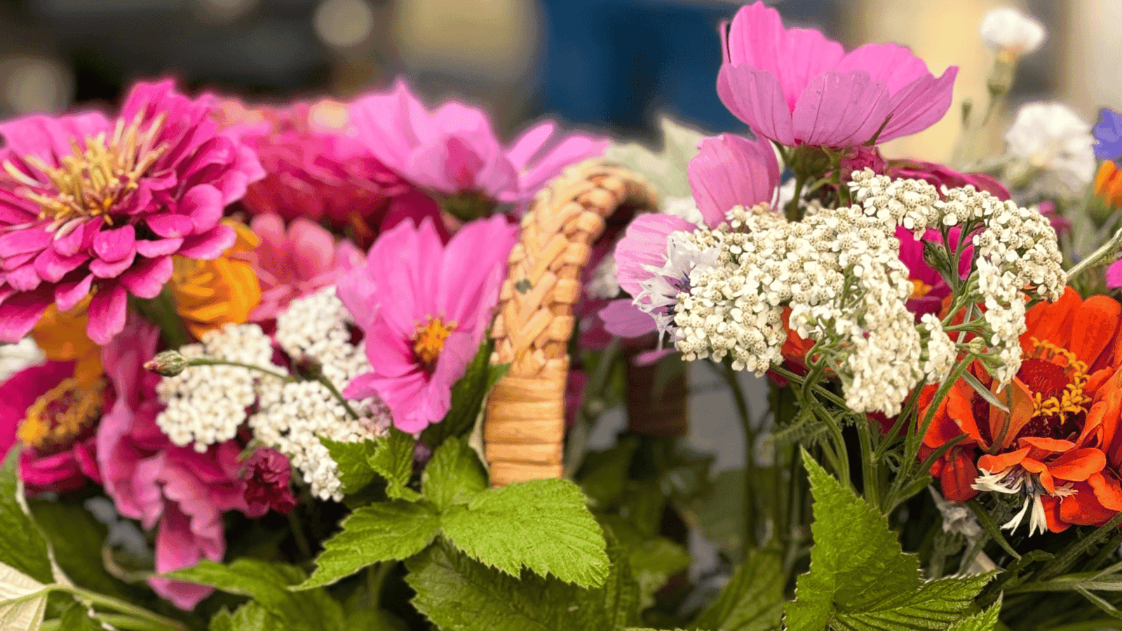 flowers of hope in uncertain times, joy, abundance
